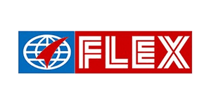 Flex P Films Egypt