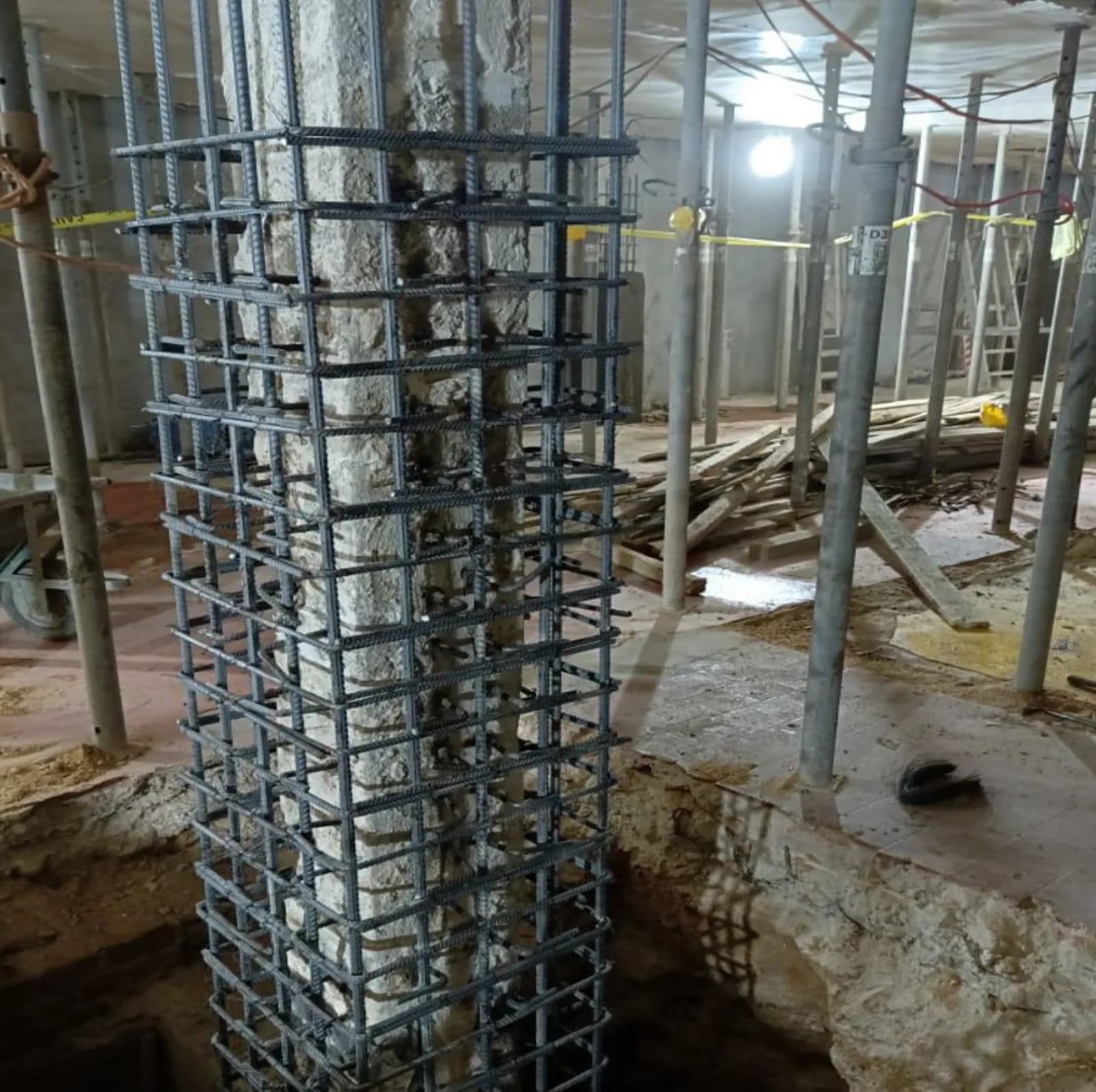 Future Extension Project — Pfizer