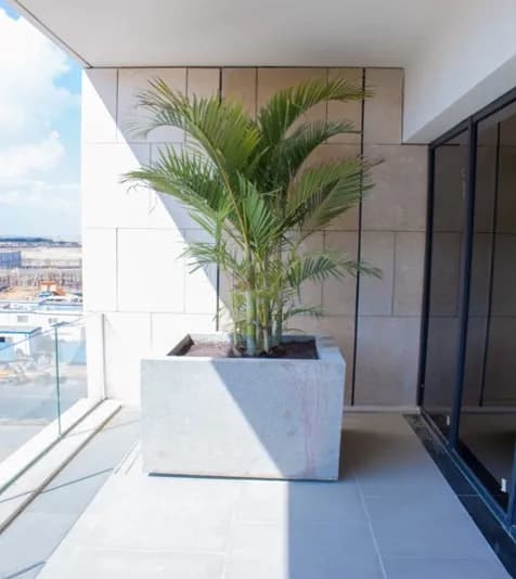 West Town Medical Hub — SODIC